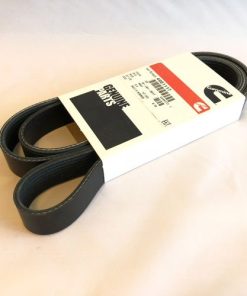 4981117 V Belt